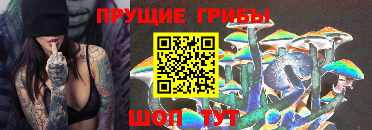 Галлюциногенные грибы ЛСД  купить  цена  Вход с VPN  Славянск-на-Кубани  Галлюциногенные грибы Psilocybine cubensis 