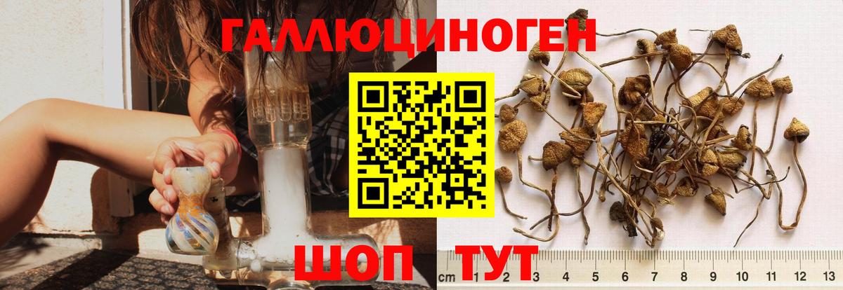 Галлюциногенные грибы мицелий Славянск-на-Кубани